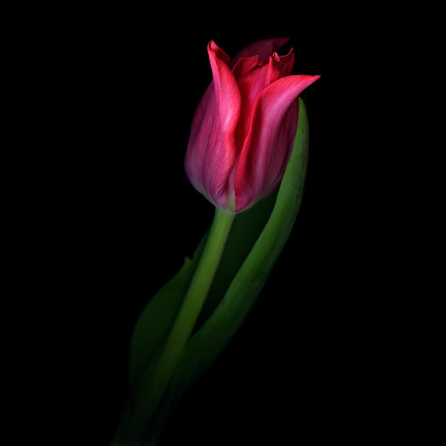 ����� ����� ������ > �������